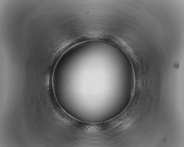 X0000096140115200801251051