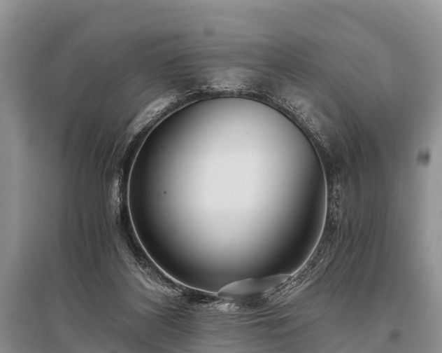 X0000096140116200801251050