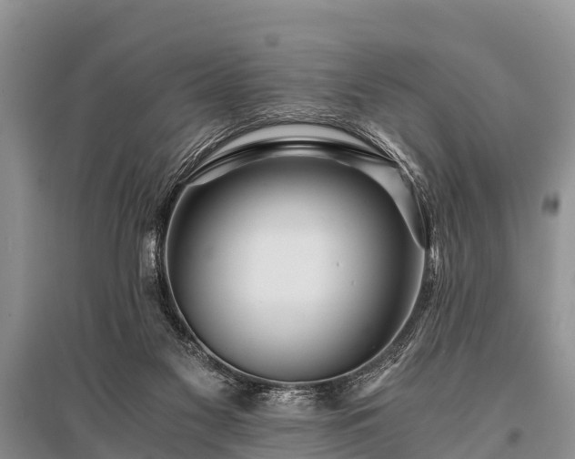 X0000096140117200801251050