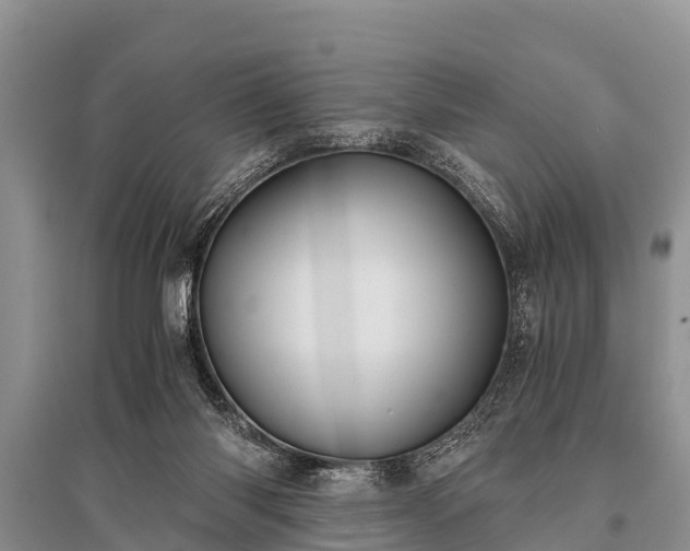 X0000096140118200801251050