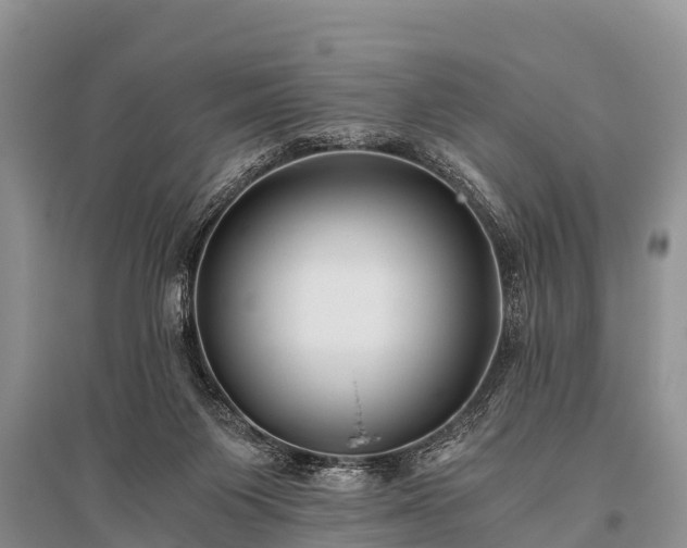 X0000096140119200801251050