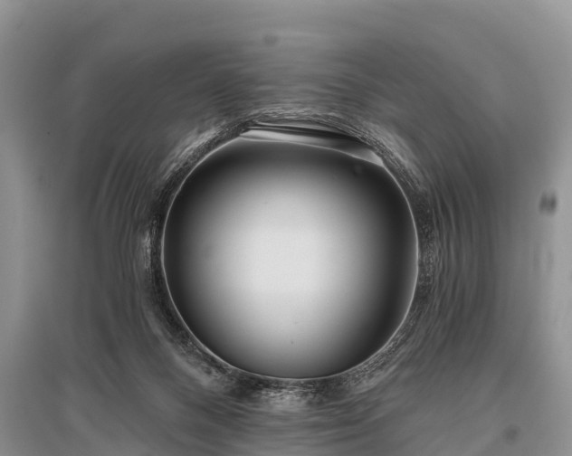 X0000096140120200801251050