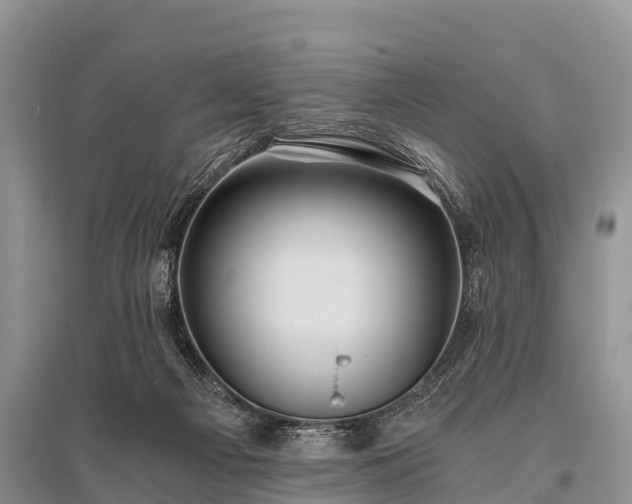 X0000096140121200801251050