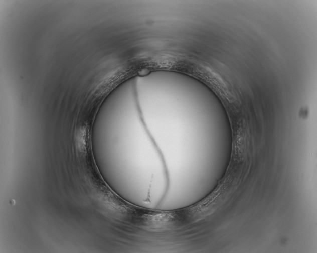 X0000096140122200801251050