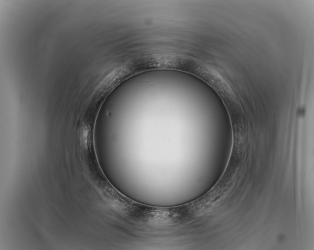 X0000096140123200801251050