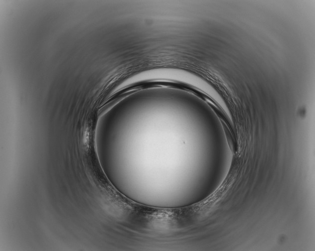 X0000096140124200801251050