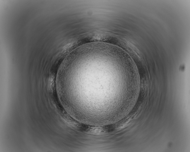 X0000096140127200801251050