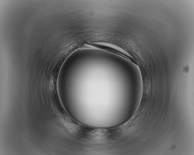 X0000096140128200801251050