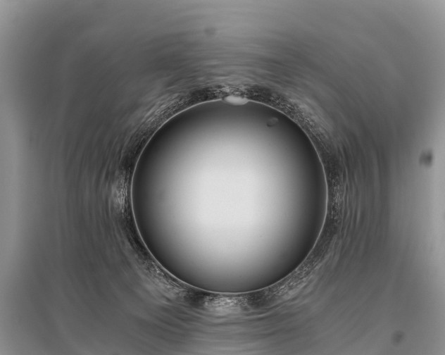 X0000096140129200801251050