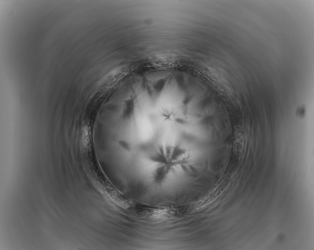 X0000096140130200801251050