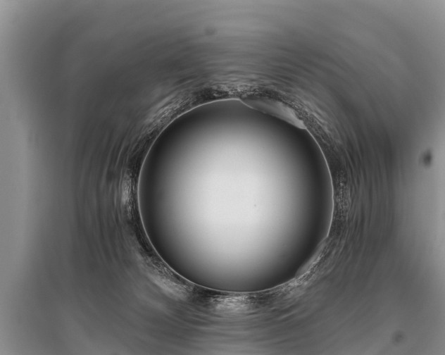 X0000096140132200801251050