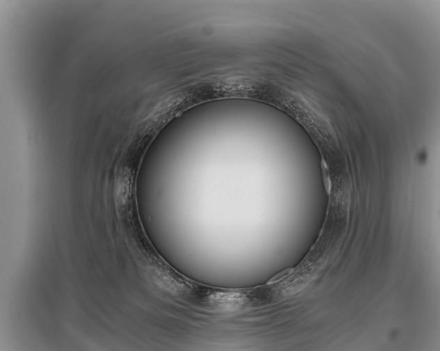 X0000096140133200801251050