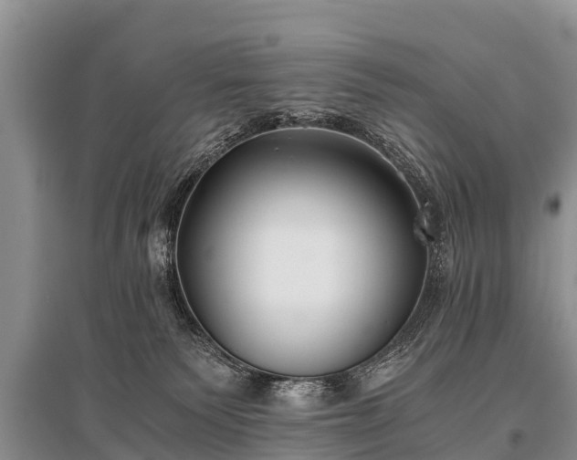 X0000096140135200801251050