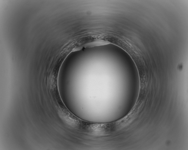 X0000096140136200801251050