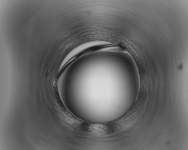X0000096140137200801251050