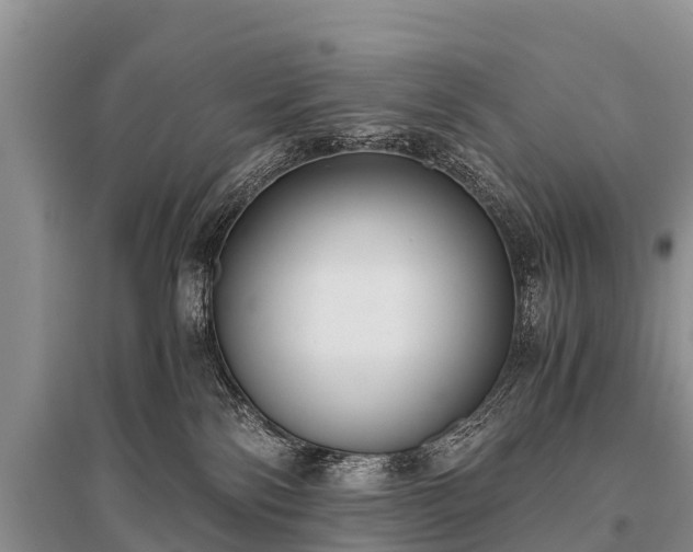 X0000096140138200801251050