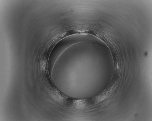 X0000096140139200801251050