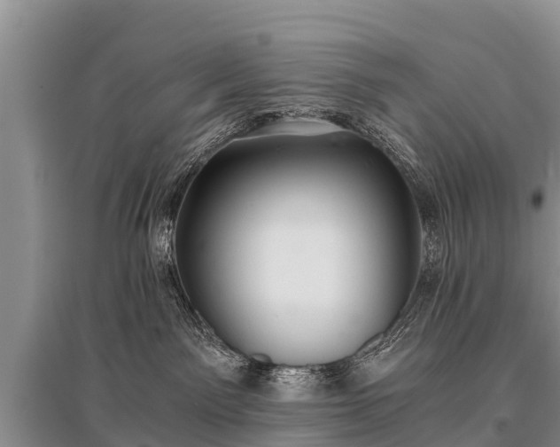 X0000096140141200801251050