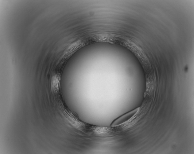 X0000096140142200801251050