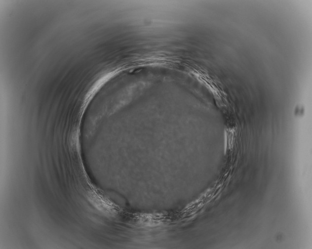 X0000096140147200801251049
