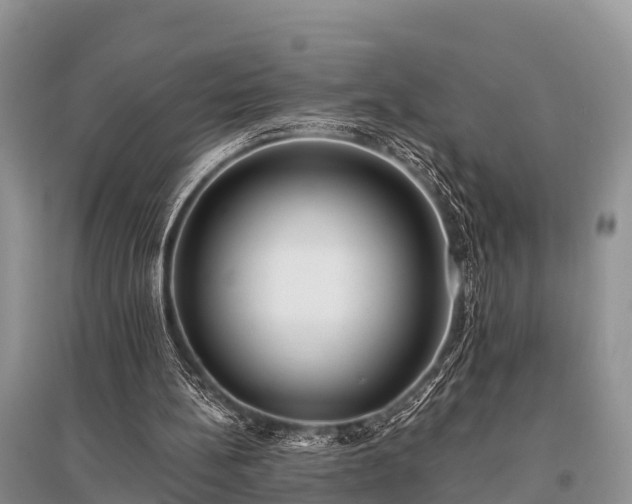 X0000096140148200801251049