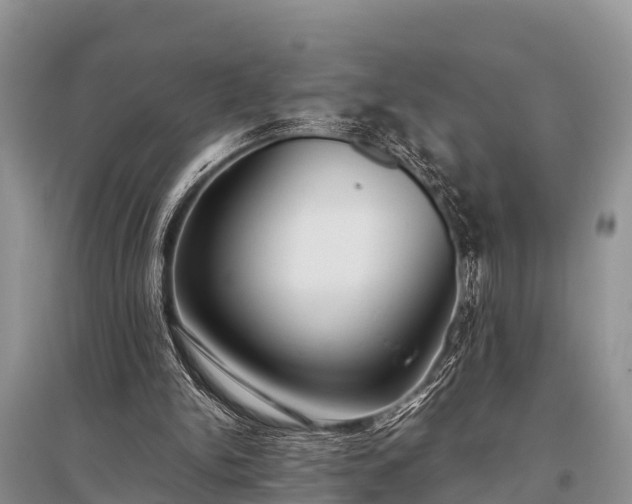 X0000096140150200801251049