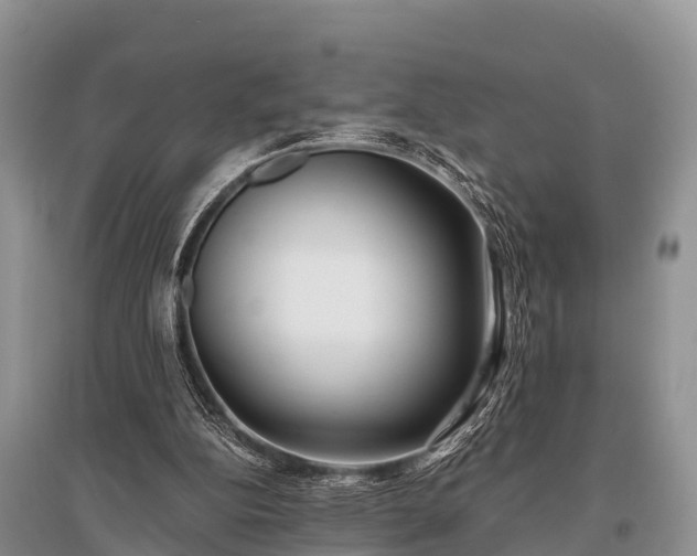 X0000096140152200801251049