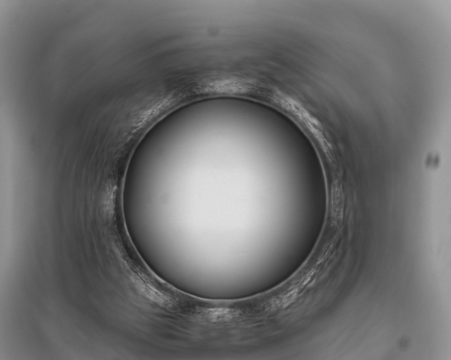 X0000096140153200801251049