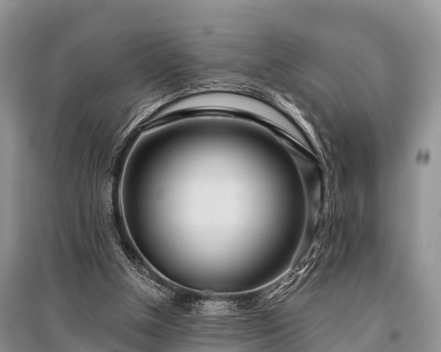 X0000096140154200801251049