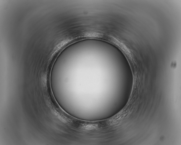 X0000096140155200801251049