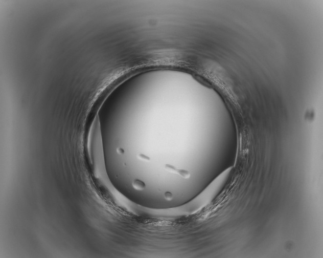 X0000096140156200801251049