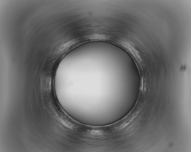 X0000096140157200801251049