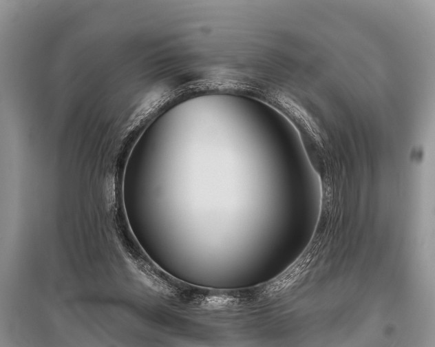 X0000096140158200801251049