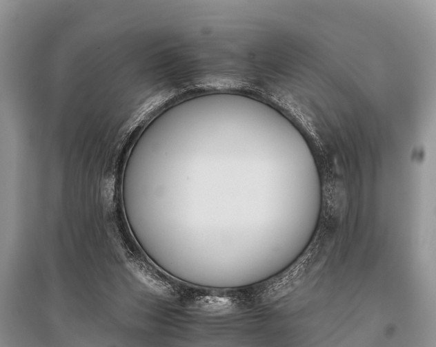 X0000096140159200801251049