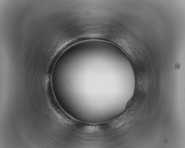 X0000096140160200801251049
