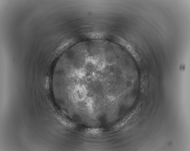 X0000096140161200801251050