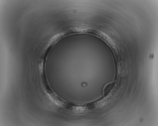 X0000096140163200801251050