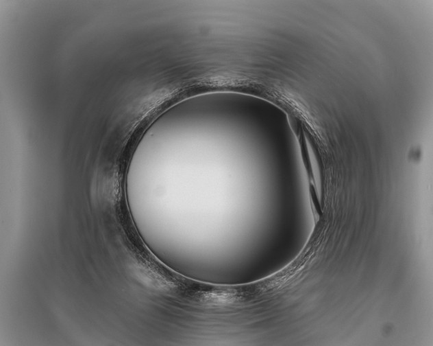 X0000096140164200801251050
