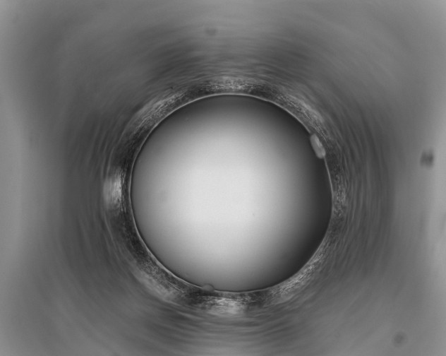 X0000096140166200801251050