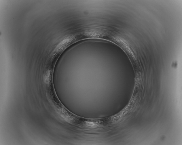 X0000096140167200801251050