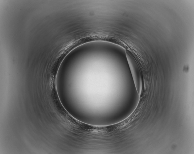 X0000096140168200801251050