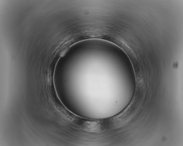 X0000096140170200801251050
