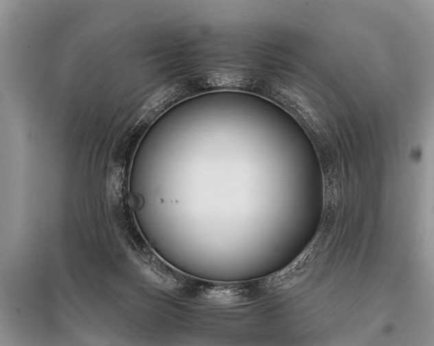 X0000096140171200801251050