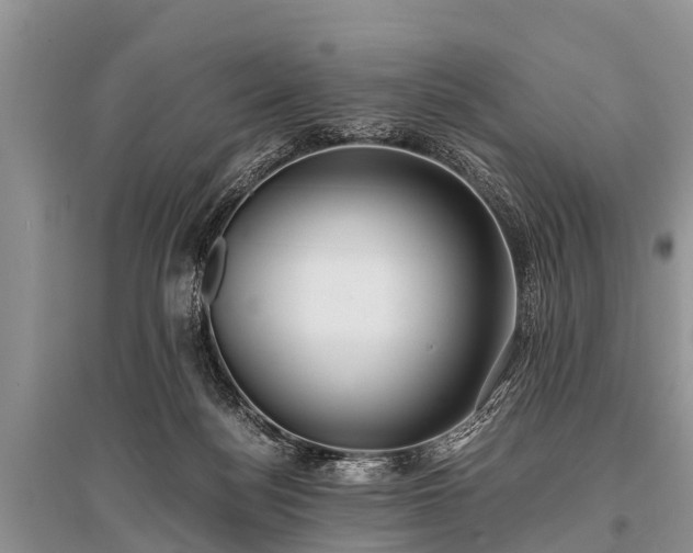 X0000096140172200801251050