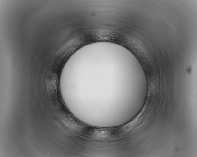 X0000096140174200801251050