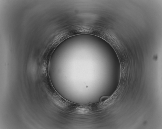X0000096140175200801251050