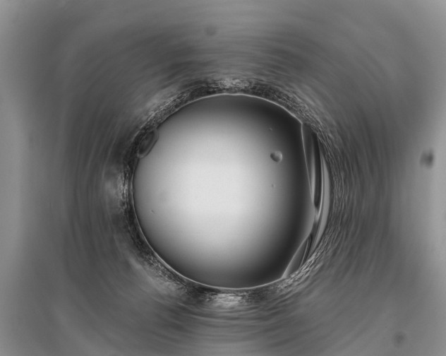 X0000096140176200801251050