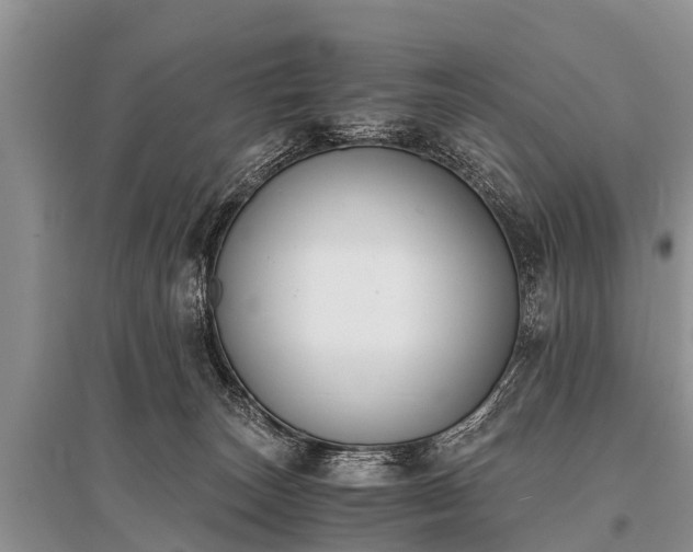 X0000096140179200801251050
