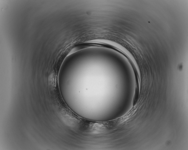 X0000096140180200801251050