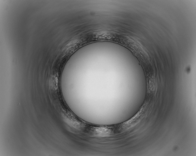 X0000096140183200801251050